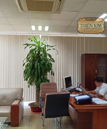 z4191758747255 4cd68e6494d22794a25cca9b6ac7420d