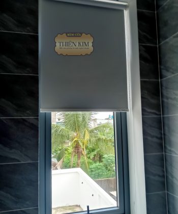 Rem cua o Long Thanh Dong Nai 8 231011 88