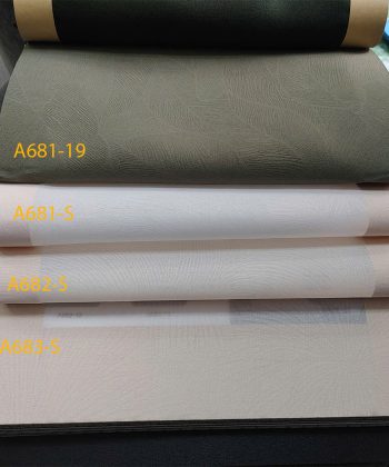 REM VAI AGL A681 2