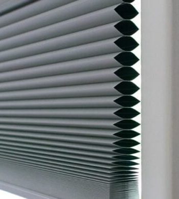 rem to ong la gi 500x389 1 1