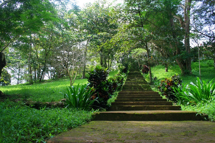 Công Viên Suối Tre