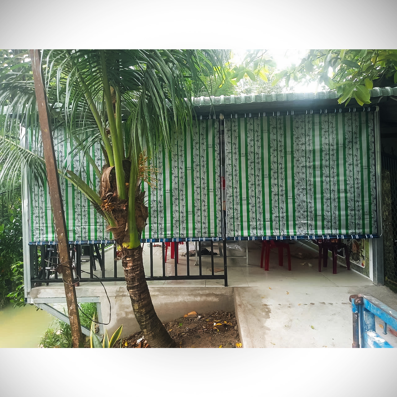 Rèm Cuốn Che Nắng Mưa Ngoài Trời 250731 4 Rèm Cuốn Che Nắng Mưa Ngoài Trời 250731 - Ảnh 3